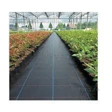 Folie Agrotextil Mulcire : Afin,Capsuni,Zmeura.REZISTENTA PERFORARE