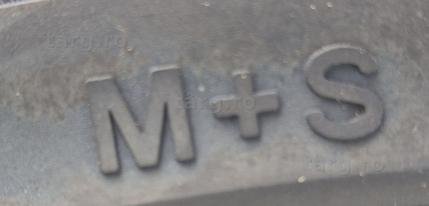 205/50 R17 93V Dynamo STREET-H M4S01 4S Anvelope all season M+S 5
