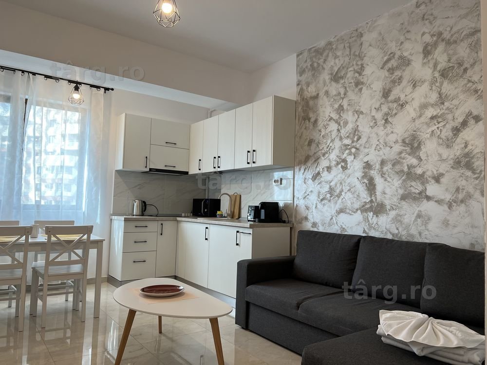 IS Cazare Regim Hotelier Apartamente 1/2/3 Camere Palas Centru Newton 5