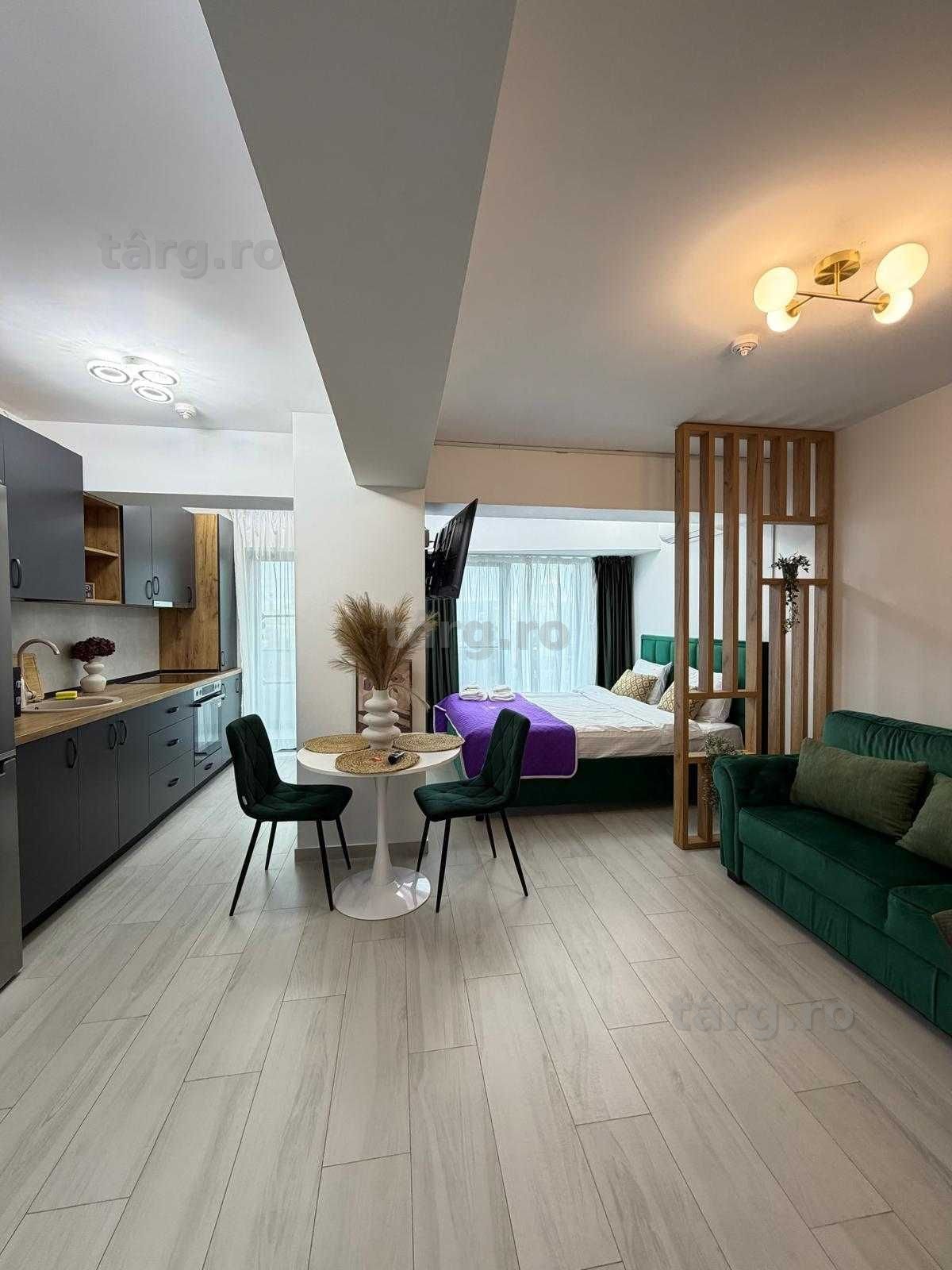 IS Apartamente 1/2/3 cam in Regim Hotelier Iasi Palas Centru Newton 4