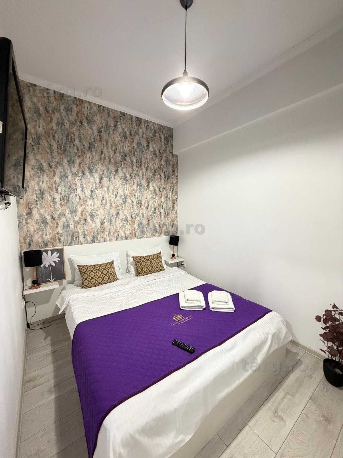 IS LUX Palas - Newton ! Cazare Regim Hotelier Iasi Apart Noi 1-2-3 cam 7