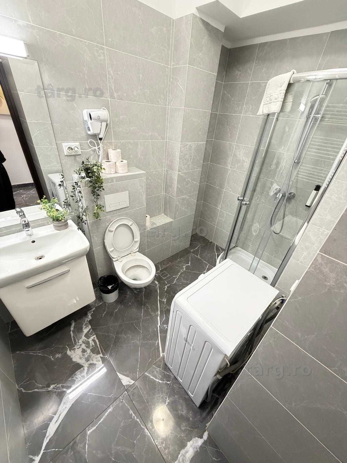 IS Cazare Regim Hotelier Apartamente 1/2/3 Cam Palas/Centru/Newton 8