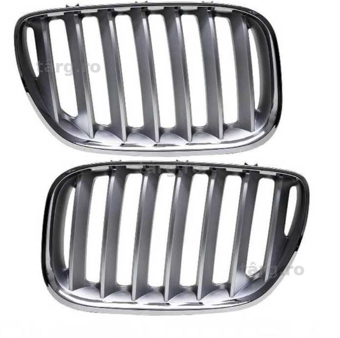 Grile BMW X5 E53 LCI 04-06 argintiu titanium silver