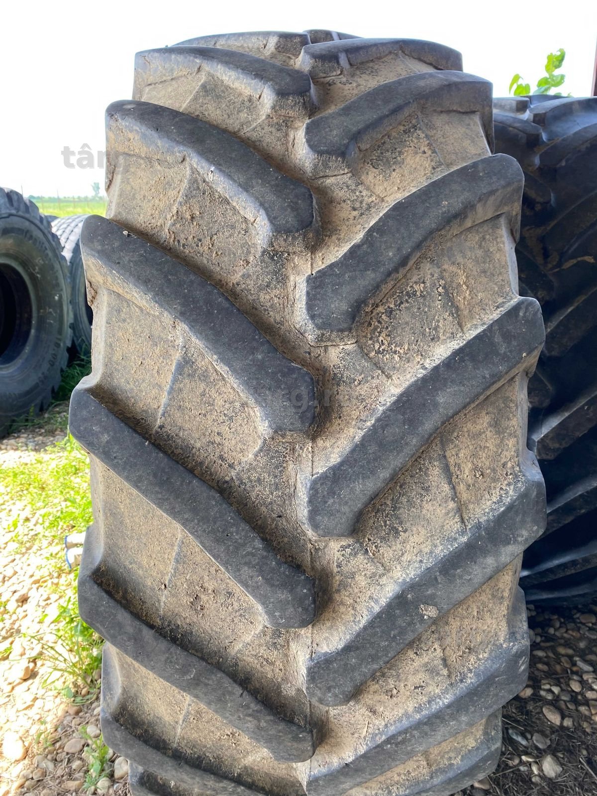 Anvelope 600.65 R34 Pirelli