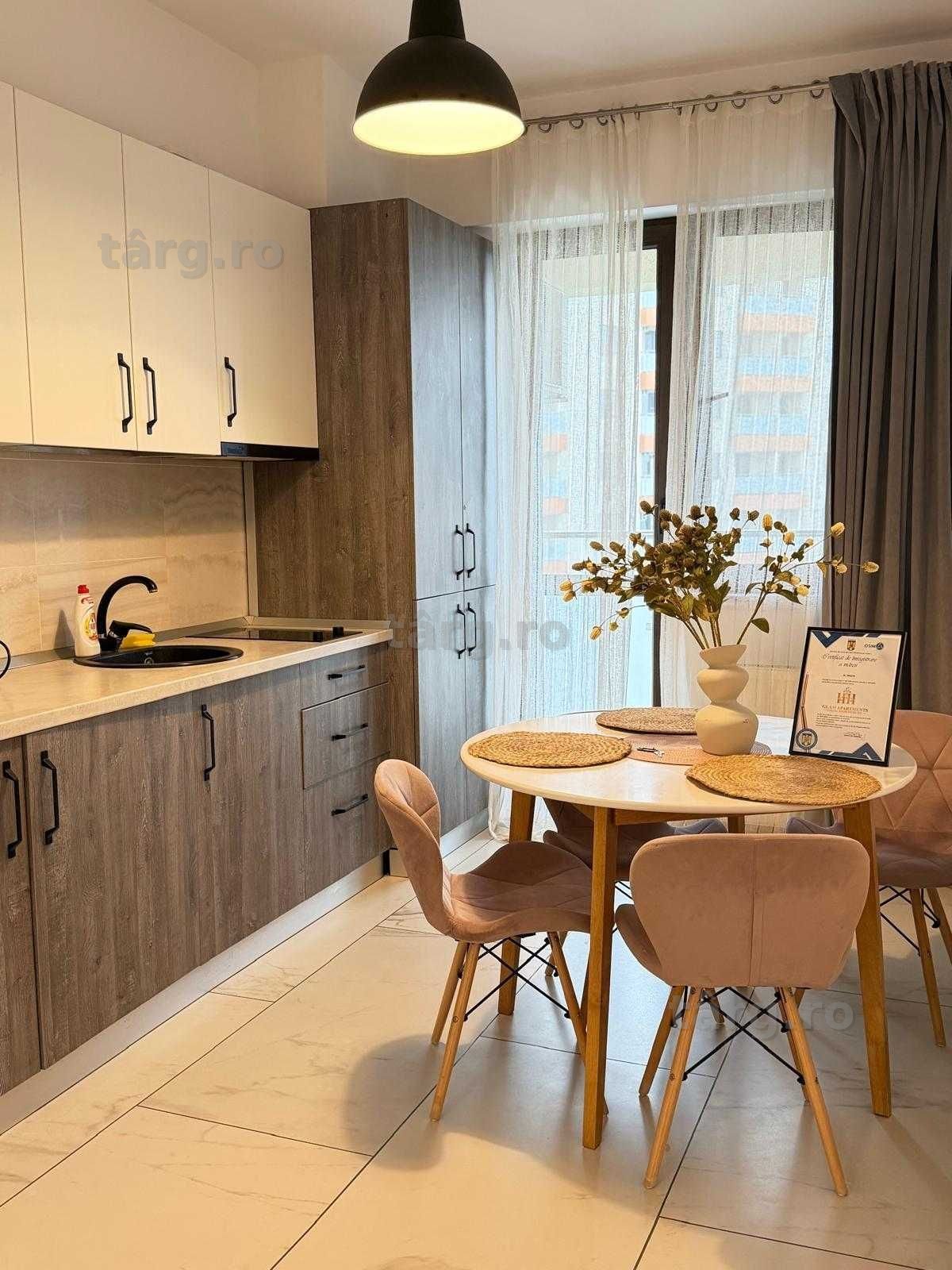 IS LUX !! Cazare Regim Hotelier Iasi Ap 1-2-3 Cam Palas-Newton-Centru 4