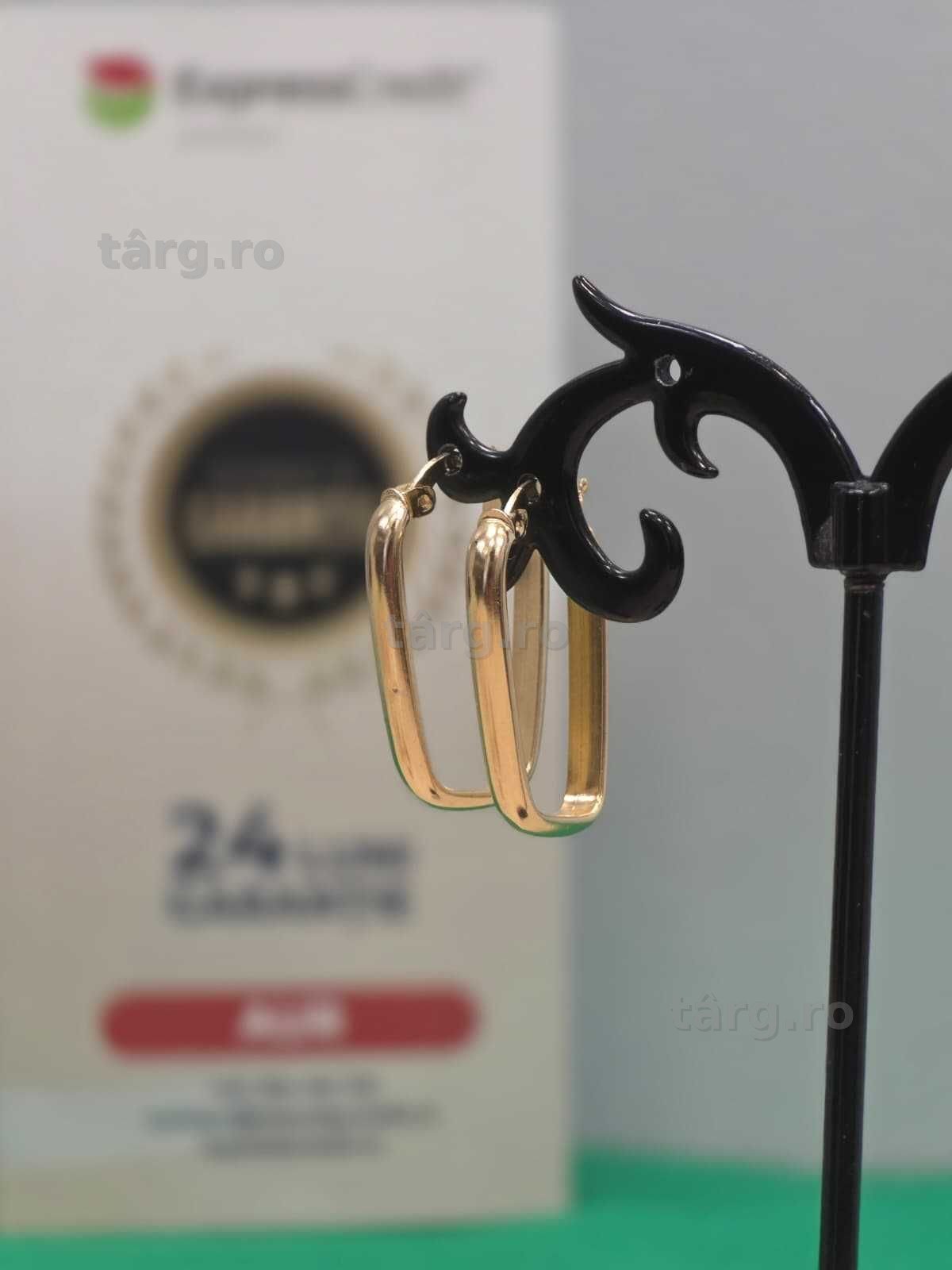 Cercei aur 14K 2.71g [Ag45 Bacau1 B.34951.1.35]