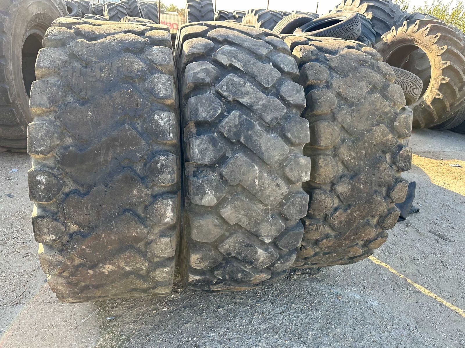 Anvelope sh 20.5 R25