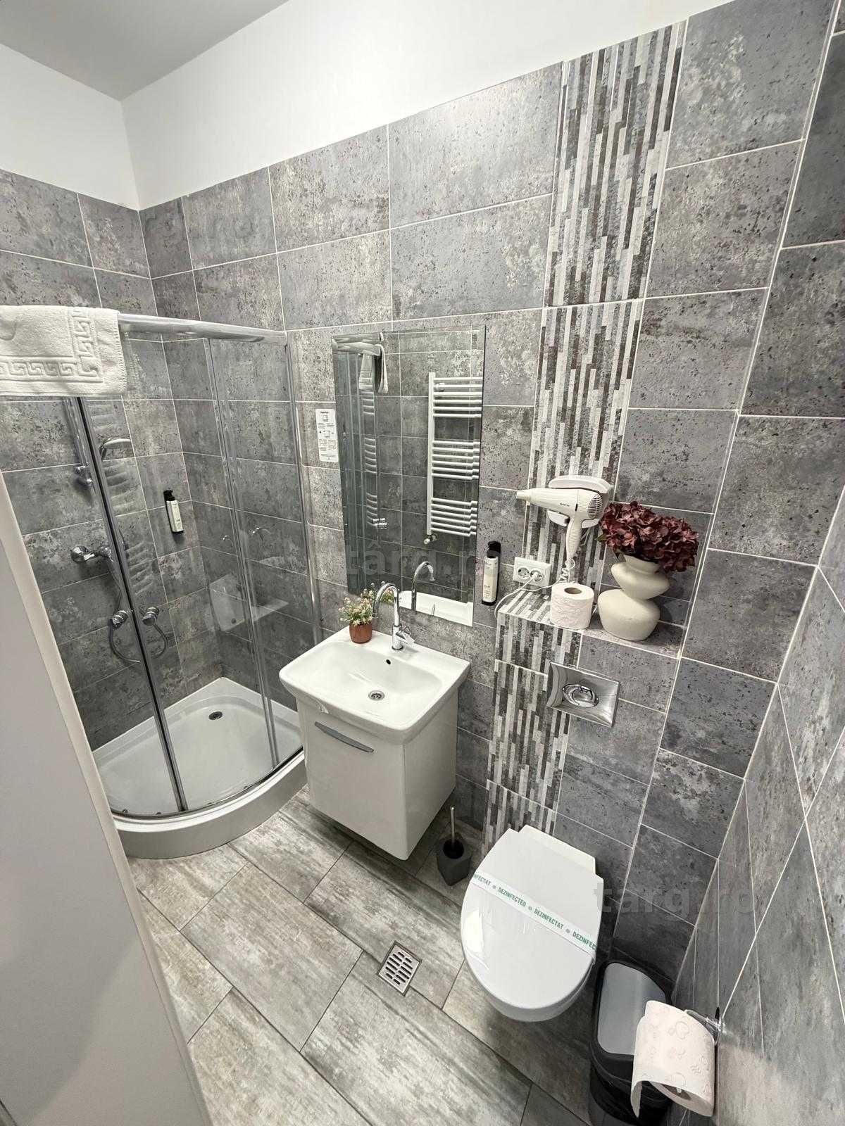 IS Cazare Regim Hotelier Iasi Apartamente Noi 1-2-3 Cam Palas Newton 6