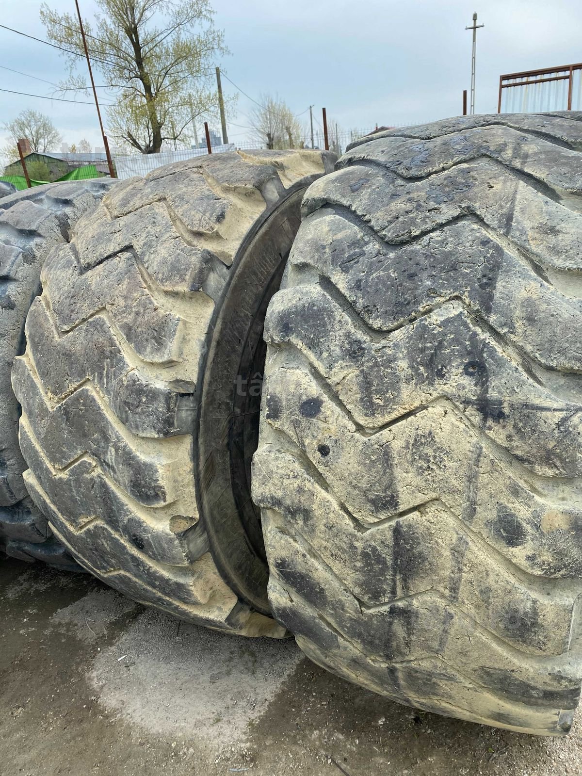 Anvelope 29.5 R25 Michelin