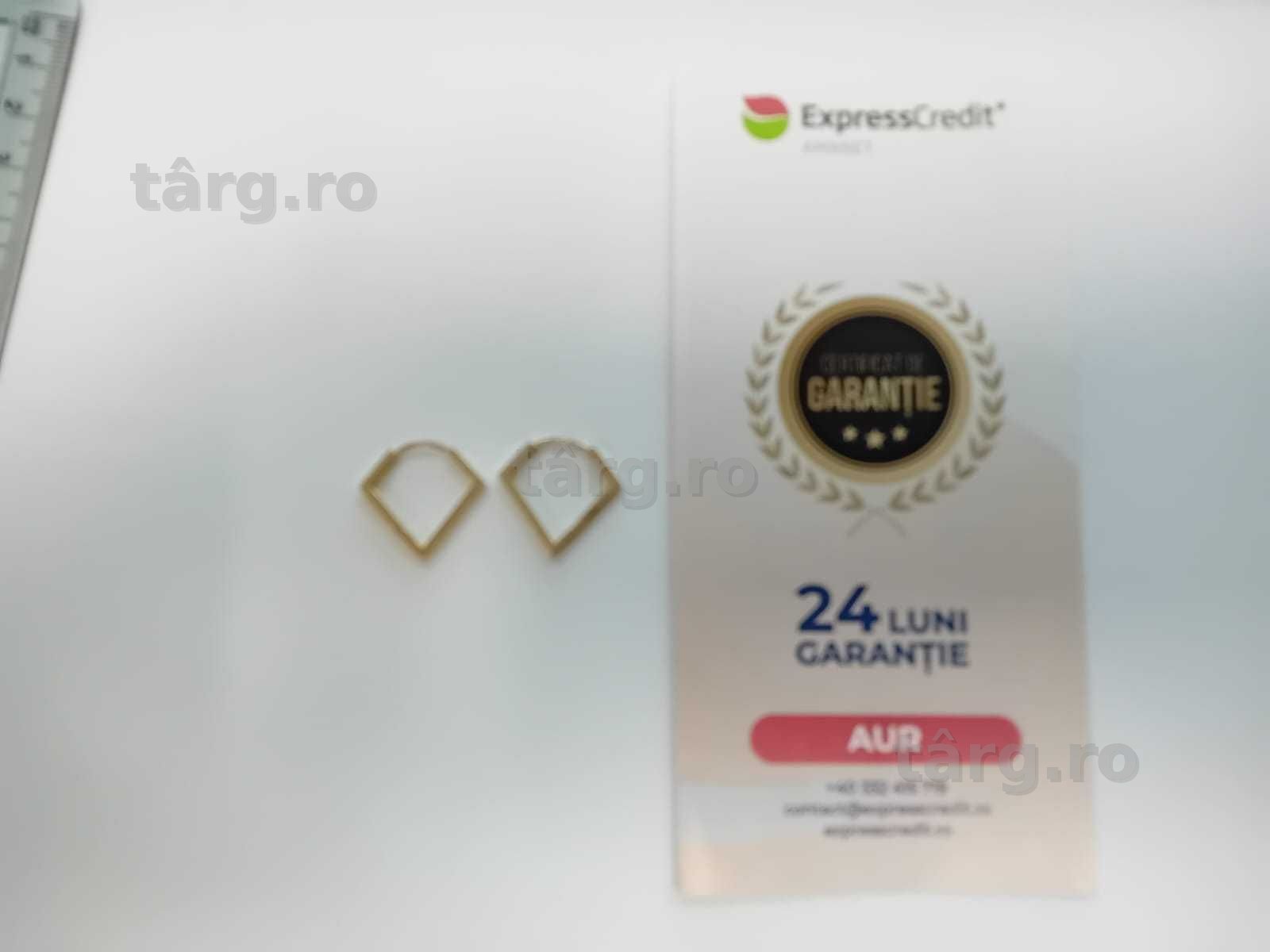(AG33) Cercei Aur 14K / Garantie 2 Ani.