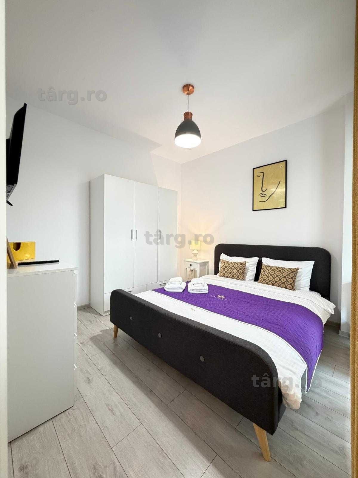 IS Cazare Regim Hotelier Iasi Ap Noi 1-2-3 Cam Palas Mall Centru 6