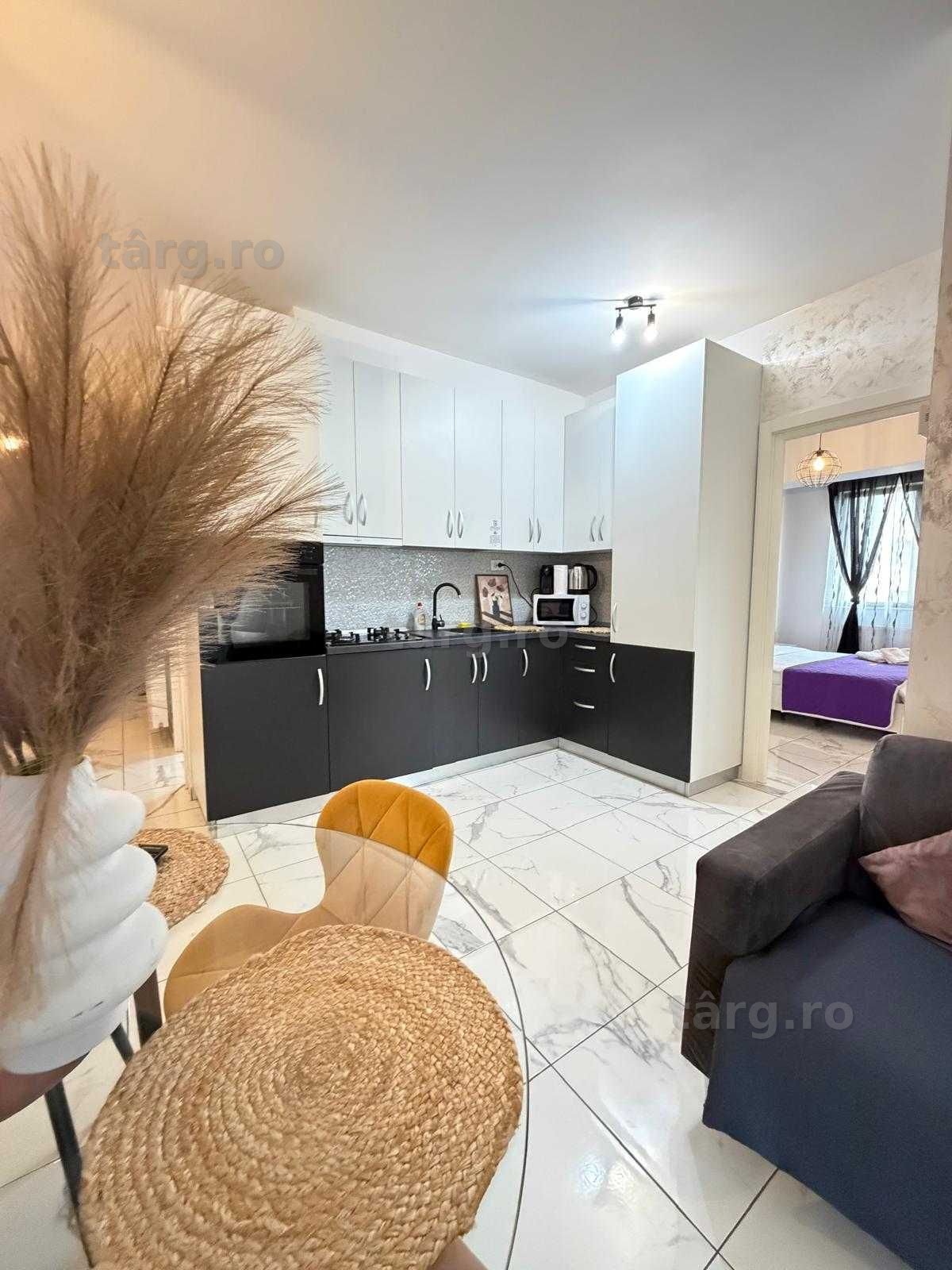 IS Cazare Apartamente Regim Hotelier Ap 1-2-3 C Firme/Echipe Muncitori 5
