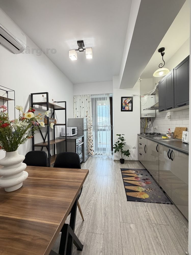 IS Studios & Apartamentes Regim Hotelier Centru-Palas-Newton 1-2-3 Cam 4