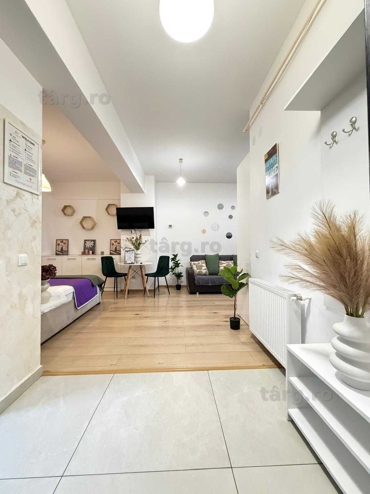 IS Cazare Regim Hotelier Ap 1-2-3 Cam Centru-Palas-Newton Blocuri Noi