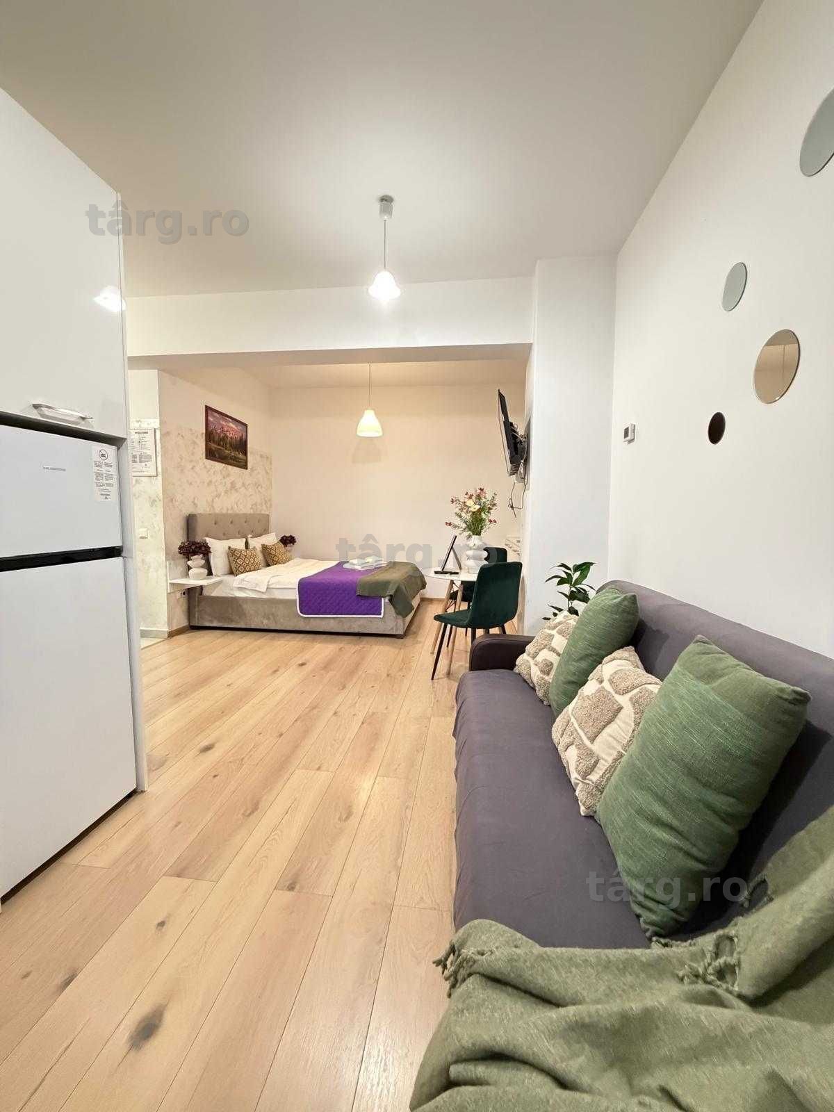 IS Cazare Regim Hotelier Ap 1-2-3 Cam Centru-Palas-Newton Blocuri Noi 8
