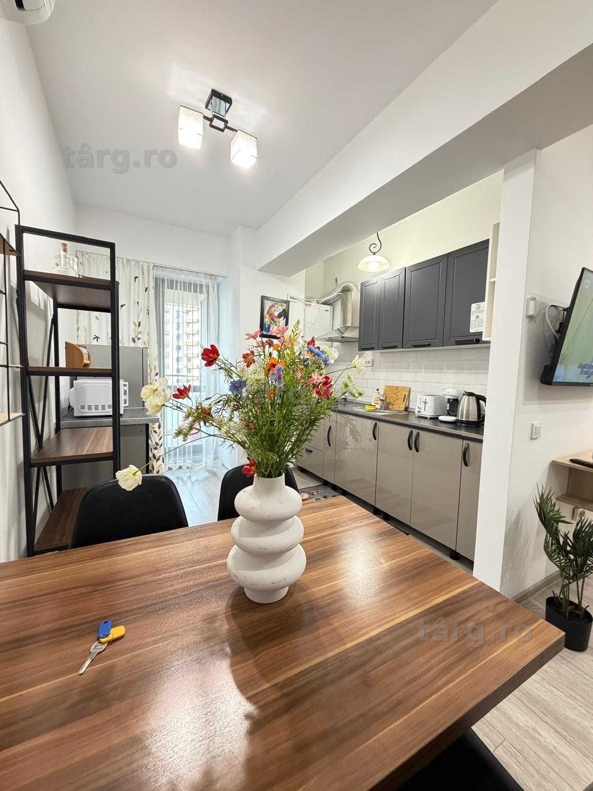 IS Cazare Apartamente 1-2-3 Cam Regim Hotelier Centru-Palas-Newton 3