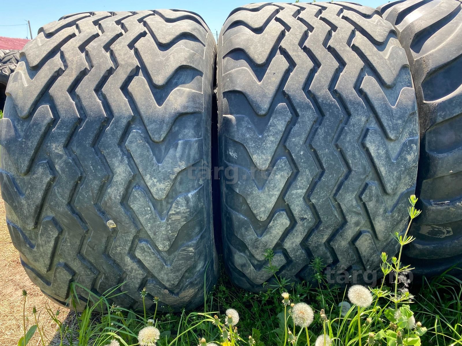 anvelope sh 650/50 R22,5