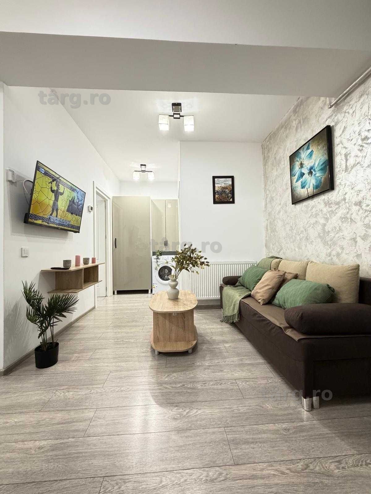 IS Cazare Apartamente 1-2-3 Cam Regim Hotelier Centru-Palas-Newton 4