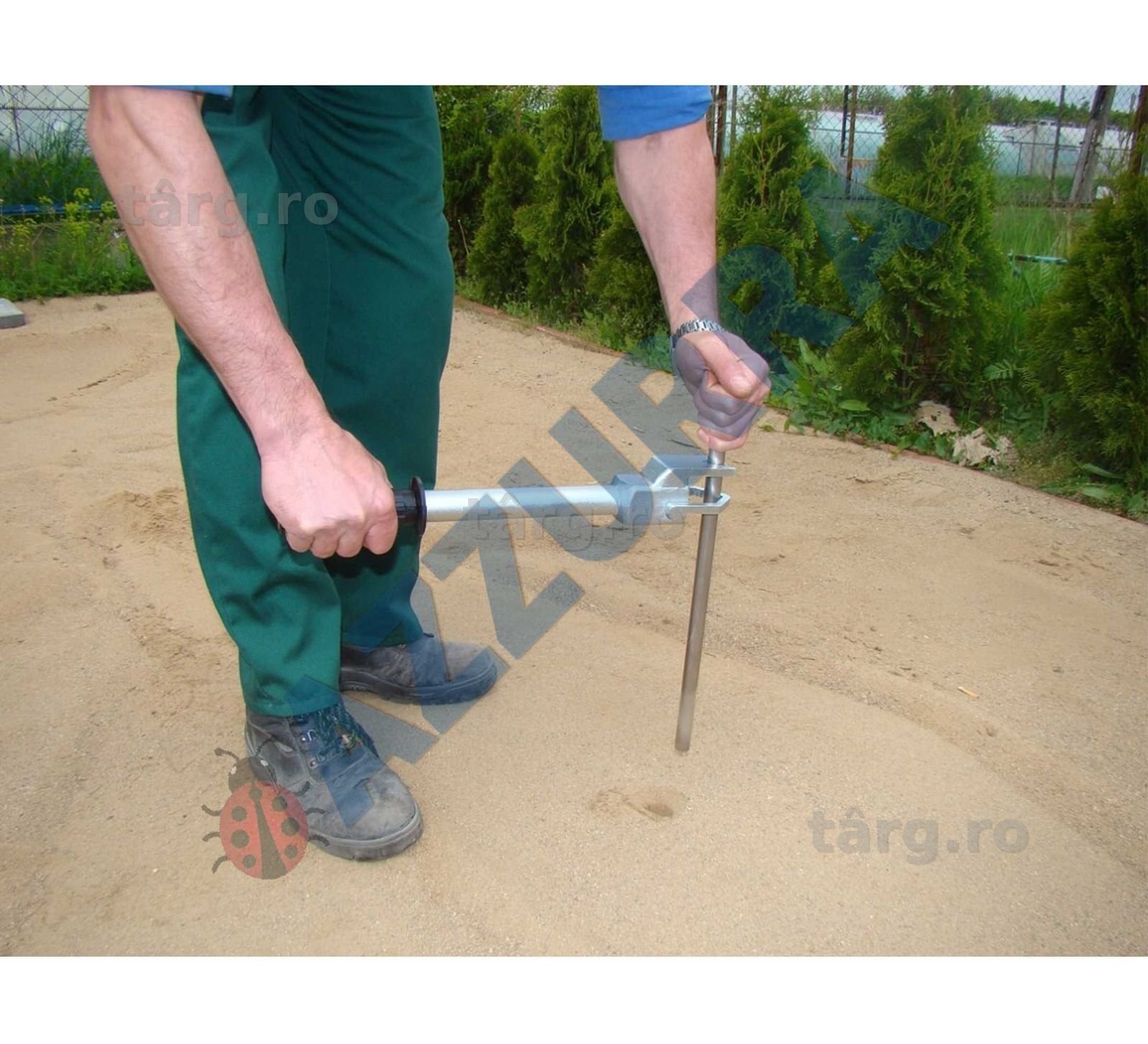 pavele dale Extractor bolturi, extractor tarusi