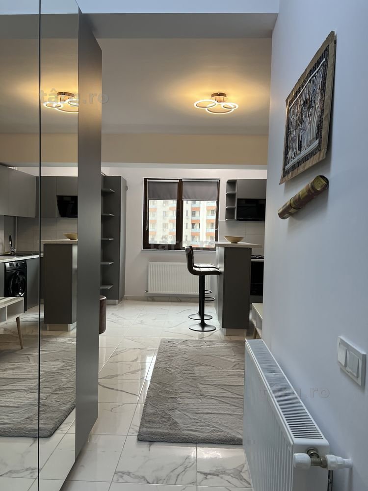 IS Cazare Regim Hotelier Apartamente 1-2-3 C Noi Palas Newton Aeroport 2