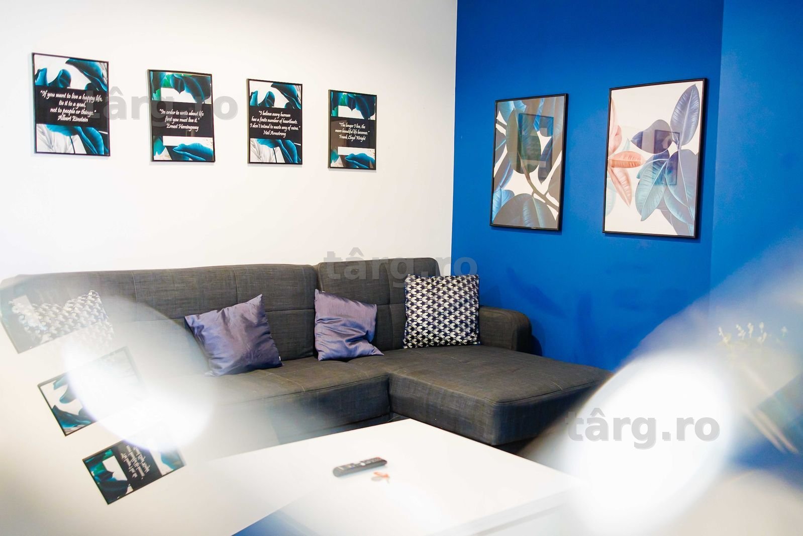 IS Cazare Apartamente Regim Hotelier Centru Palas Newton Ap 1-2-3 Cam 2