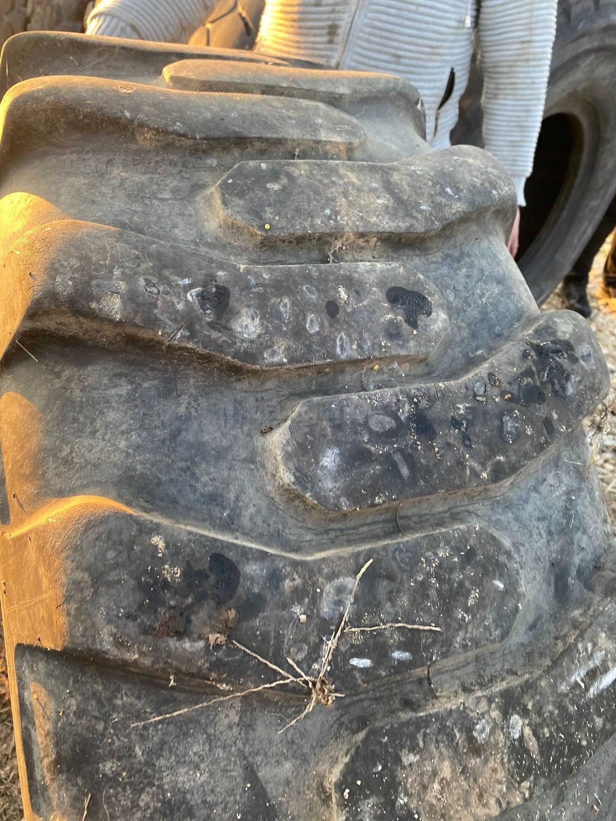 Anvelope 15.5 R25 BKT 5