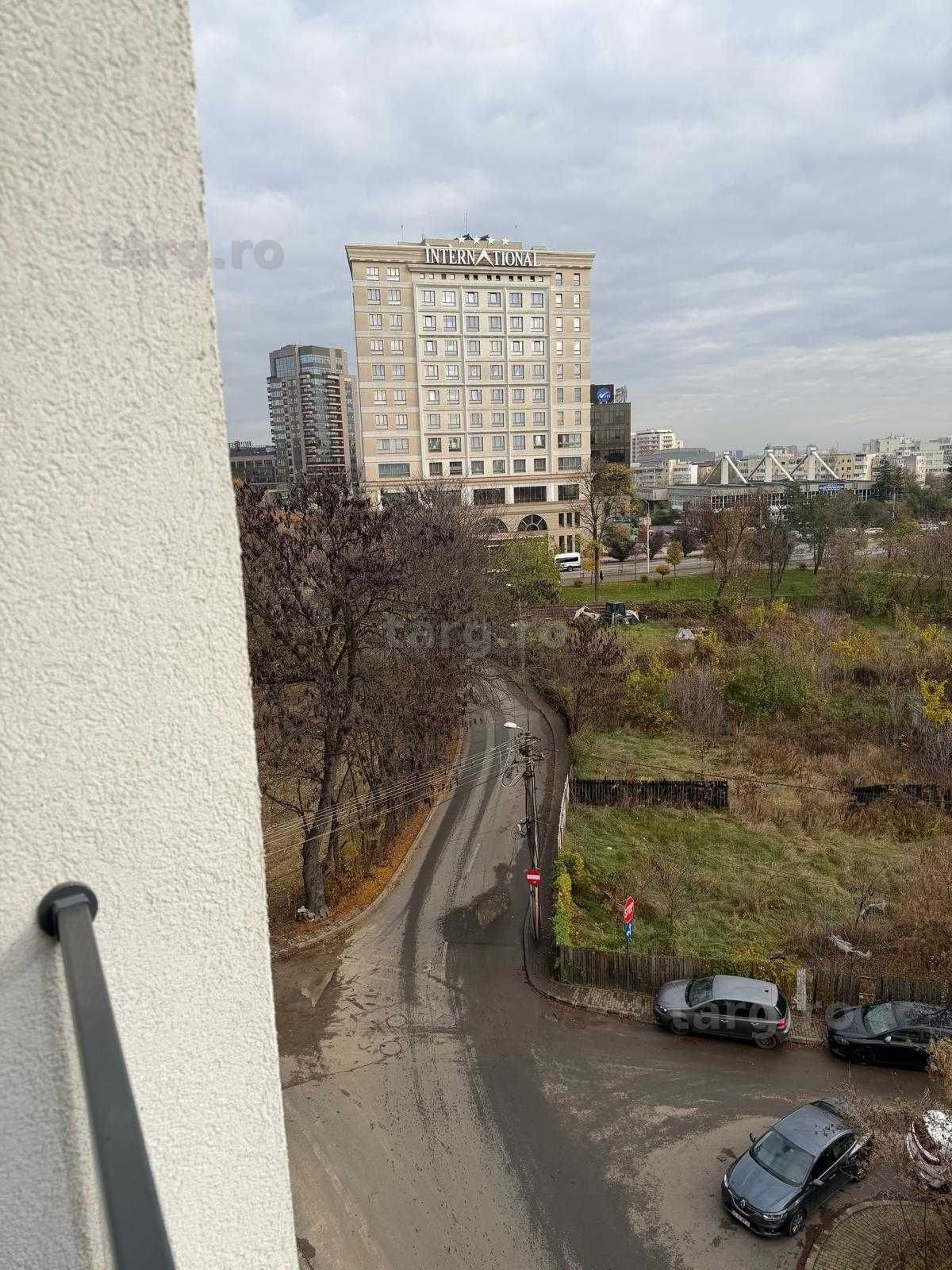 IS Apartamente 1/2/3 cam in Regim Hotelier Iasi Palas Centru Newton 6