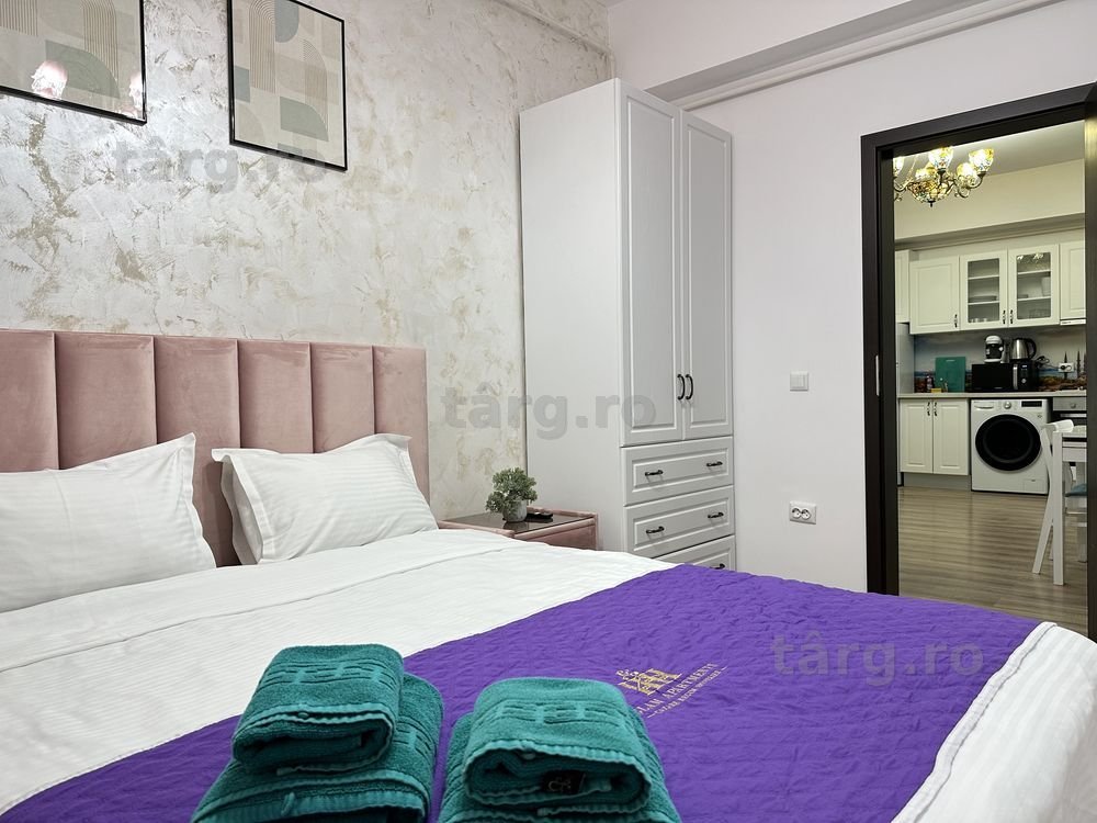 IS Cazare Regim Hotelier Iasi Centru - Palas Mall - Newton Ap 1-2-3 C 7