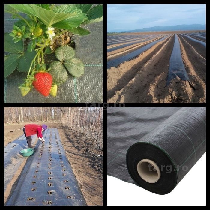 IMPORTATOR FOLIE MULCIRE/Agrotextil,POZE REALE, 100g/m,Marcaje15X15cm