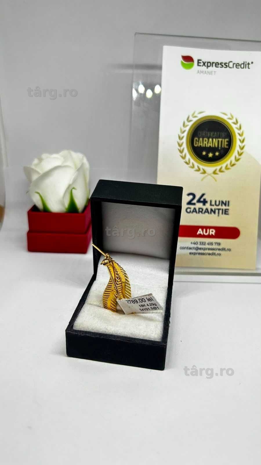 Brosa Aur 18K 4.29g (AG1 Alexandru B54101.5) - Garantie 2 ani! 2