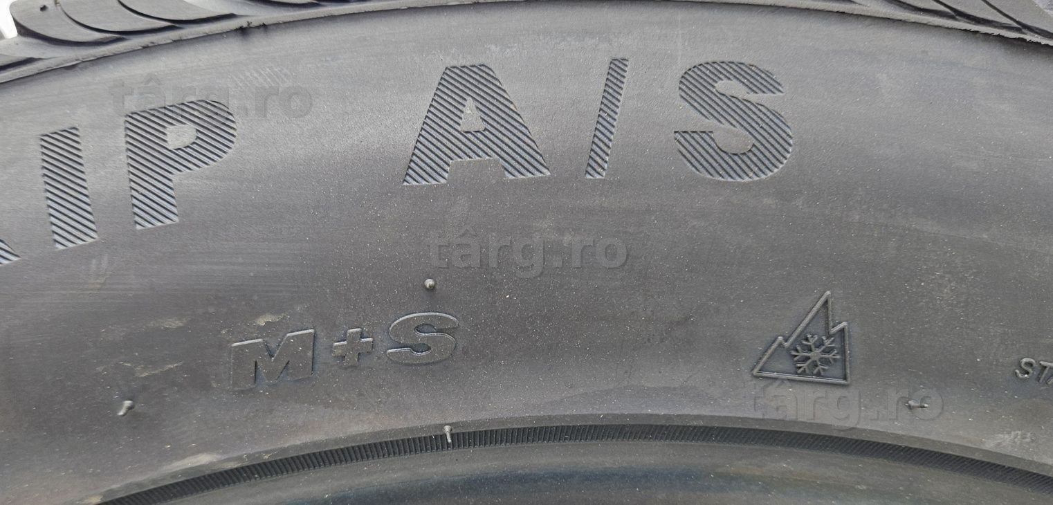 275/45 R21, 110W, GRIPMAX All Season XL, Anvelope all season M+S 5