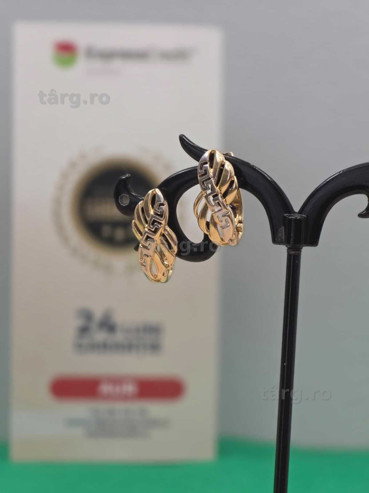 Cercei aur 14K 3.38g [Ag45 Bacau1 B.28135.1.32]