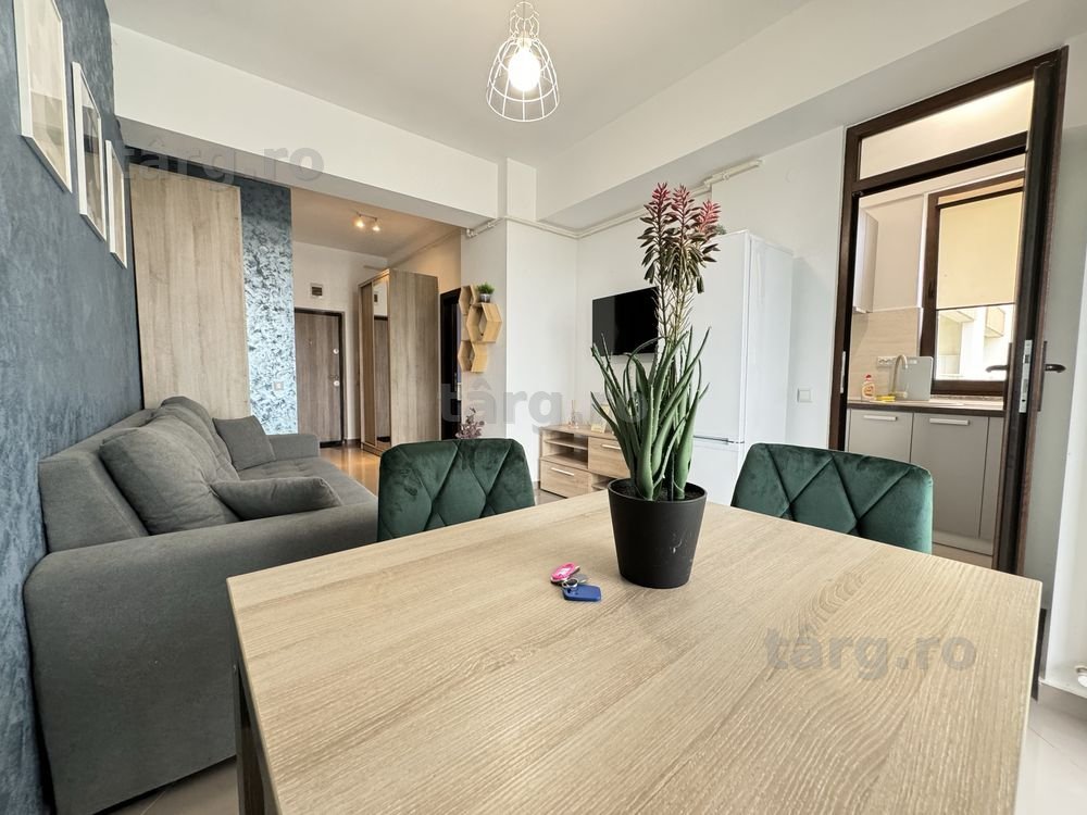 IS Cazare Regim Hotelier Iasi Apartamente 1-2-3 Camere Zona Centrala 4