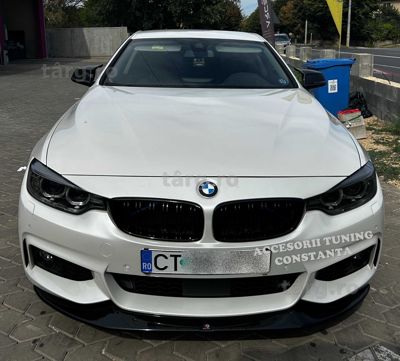 Grile - Nari Duble BMW Seria 4 F32 F33 F36