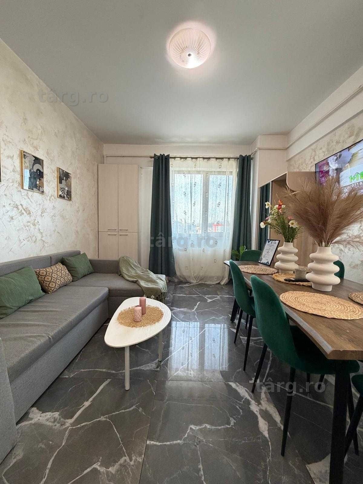 IS Cazare Regim Hotelier Apartamente 1/2/3 Cam Palas/Centru/Newton 6