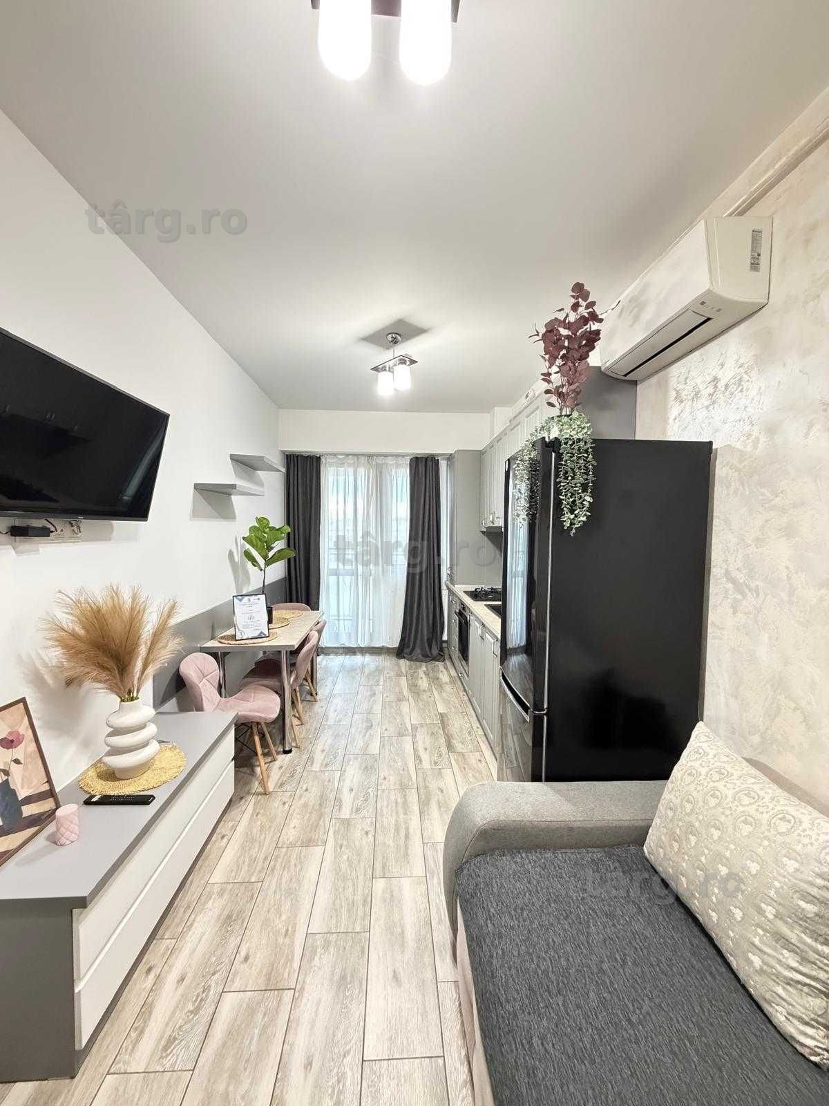 IS Cazare Regim Hotelier Centru Palas Newton Aeroport Apart 1-2-3 Cam 2