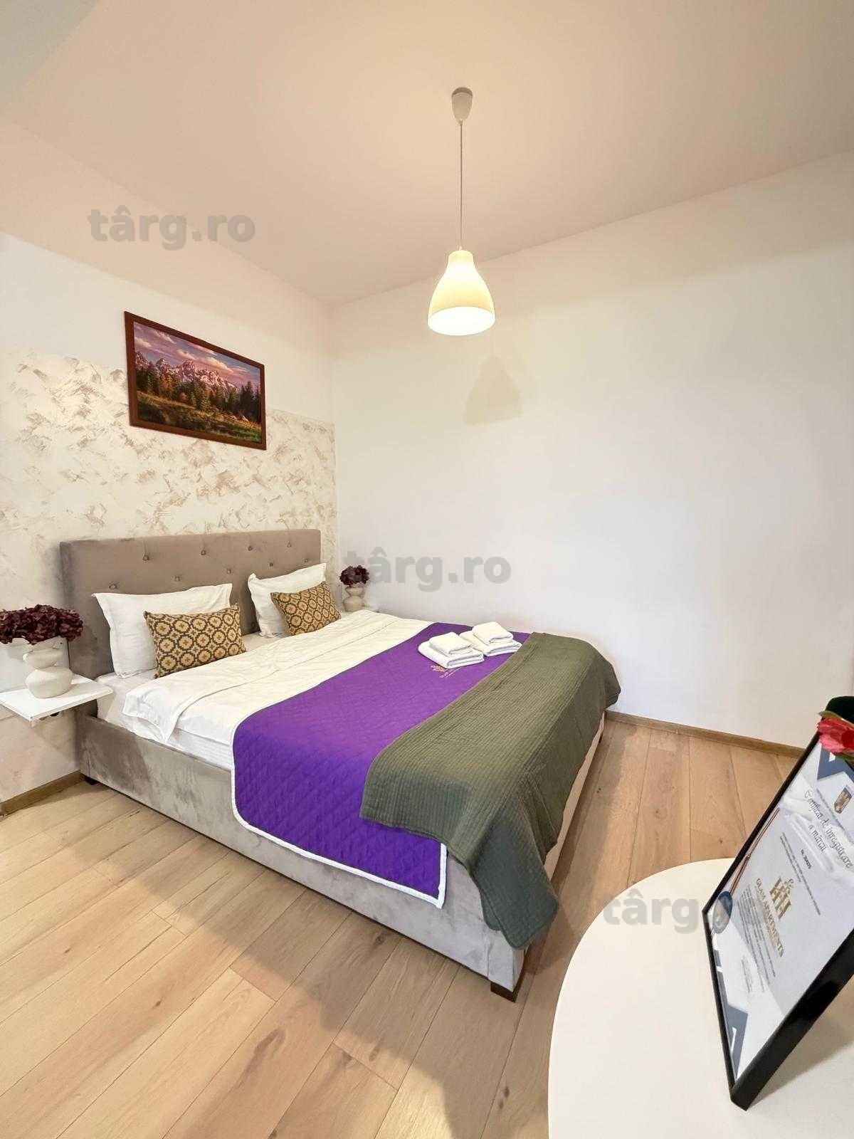 IS Cazare Regim Hotelier Ap 1-2-3 Cam Centru-Palas-Newton Blocuri Noi 6