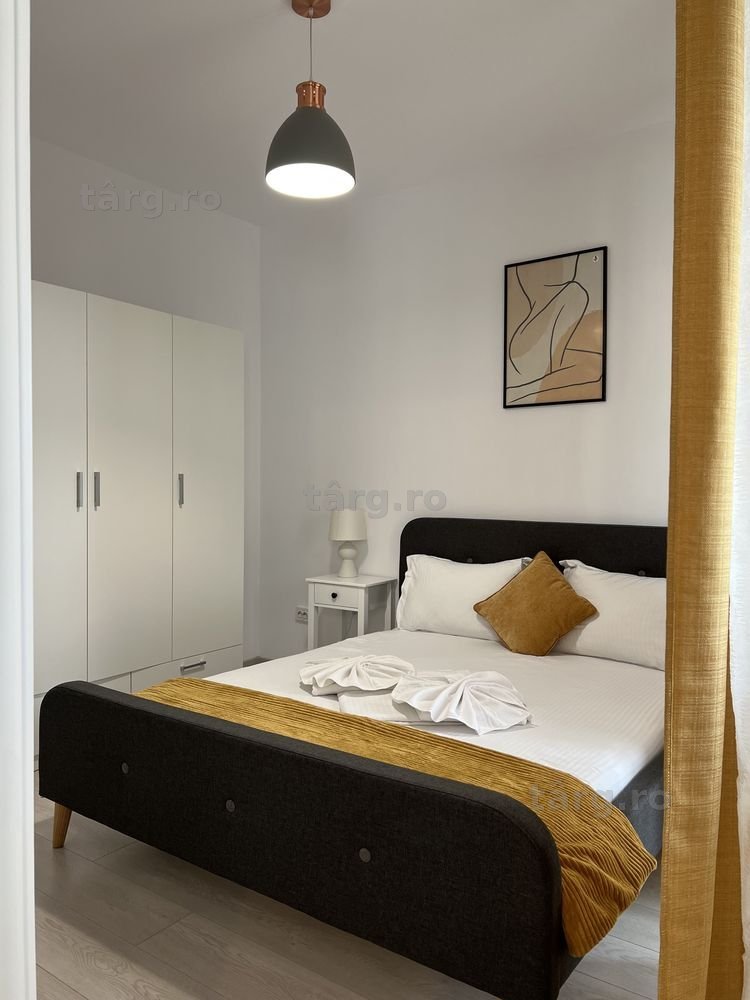 IS Cazare Regim Hotelier Apartamente 1/2/3 Camere Palas Centru Newton 6