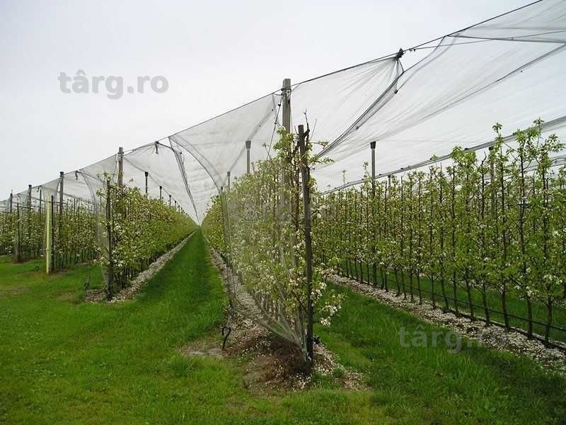 PLASA ANTI-GRINDINA 3x100m - 540 lei;  6x100m -1020 lei