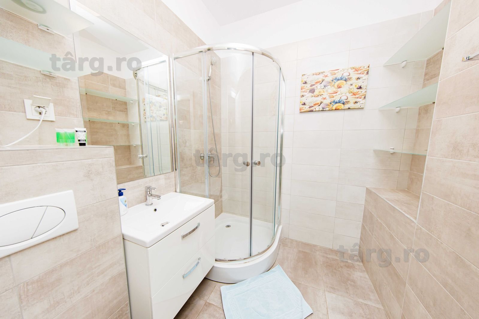 IS Cazare in Apartamente 1-2-3 Cam Regim Hotelier Palas-Newton-Centru 8