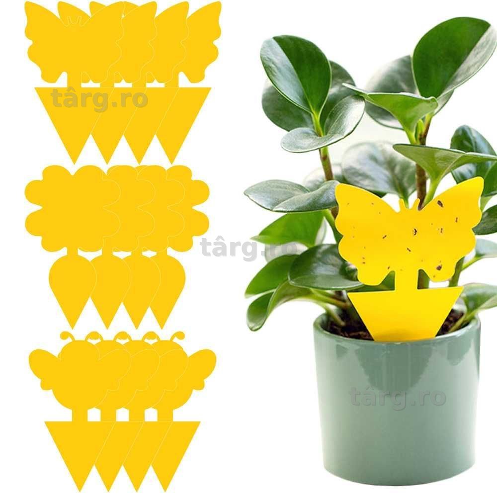 Set 12 capcane adezive insecte si daunatori plante ghiveci galben