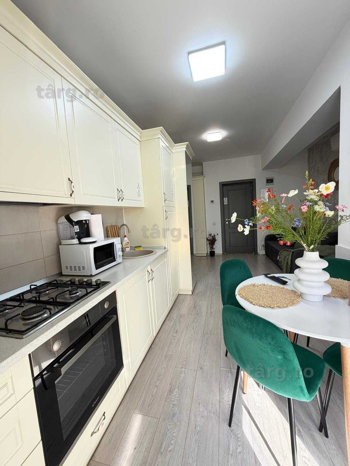 IS Cazare Regim Hotelier Iasi Apartamente Centru Palas Newton 8