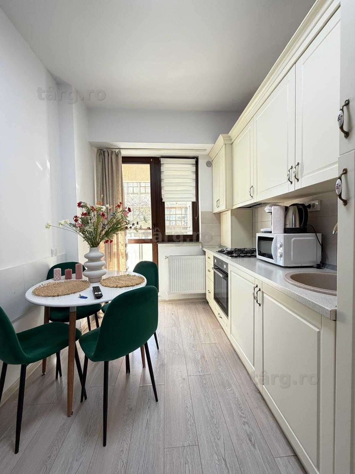IS Cazare Regim Hotelier Iasi Apartamente Centru Palas Newton 4