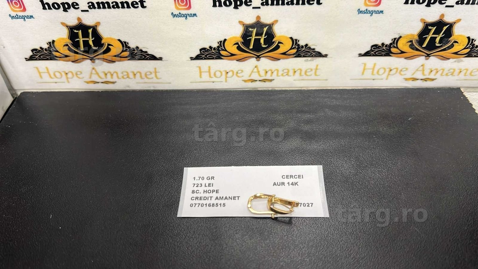 Hope Amanet P10/Cercei Aur 14K/1.70GR