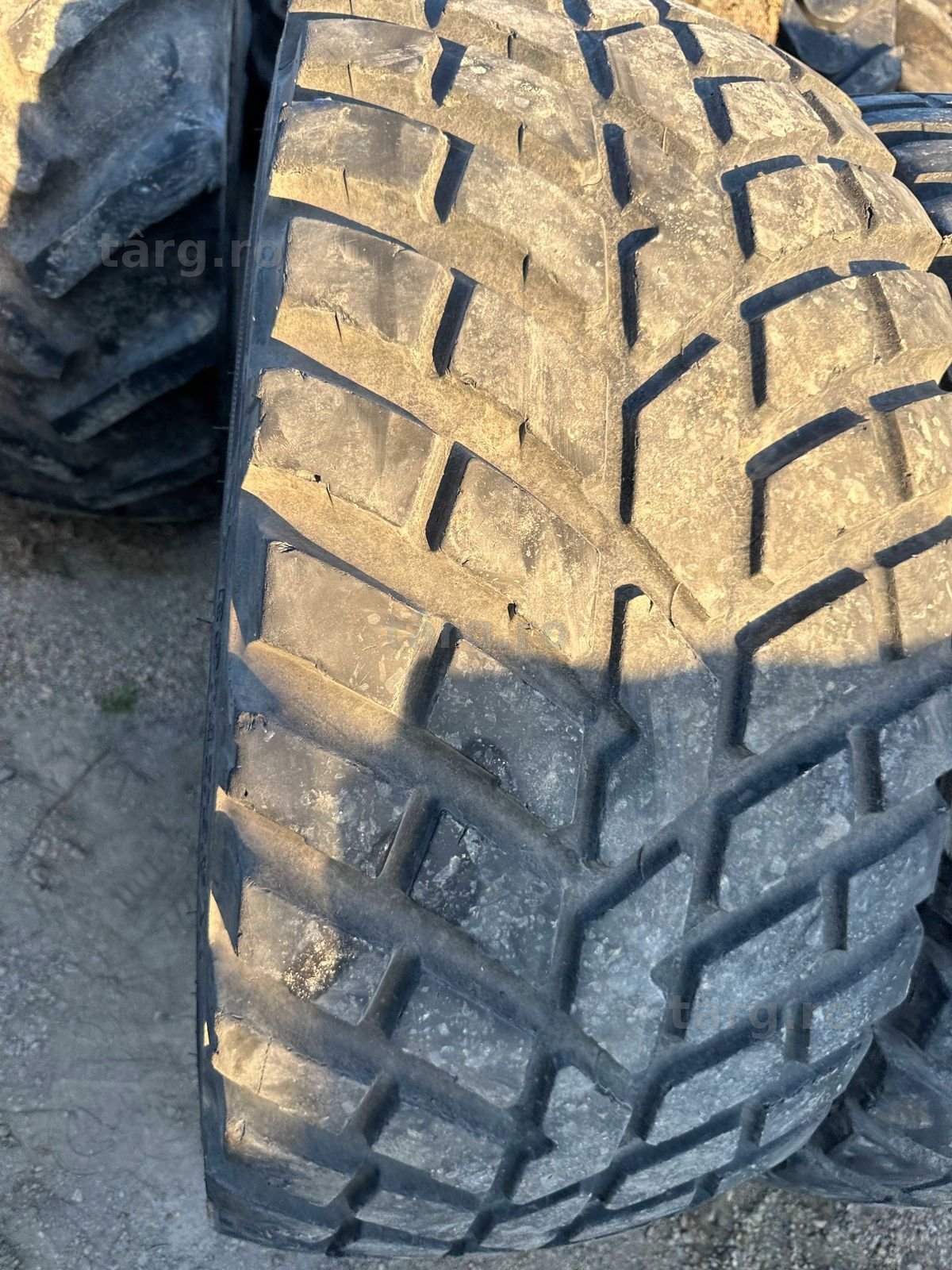 Anvelope sh 460/65 R24 5