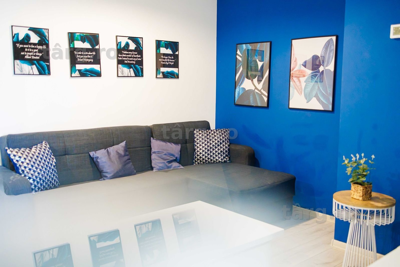 IS Cazare Apartamente Regim Hotelier Centru Palas Newton Ap 1-2-3 Cam 8