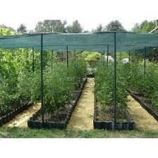 PLASA 40%-50% UMBRIRE/Protectie 2x100m=370lei/rola; 4x50m=360lei; UV