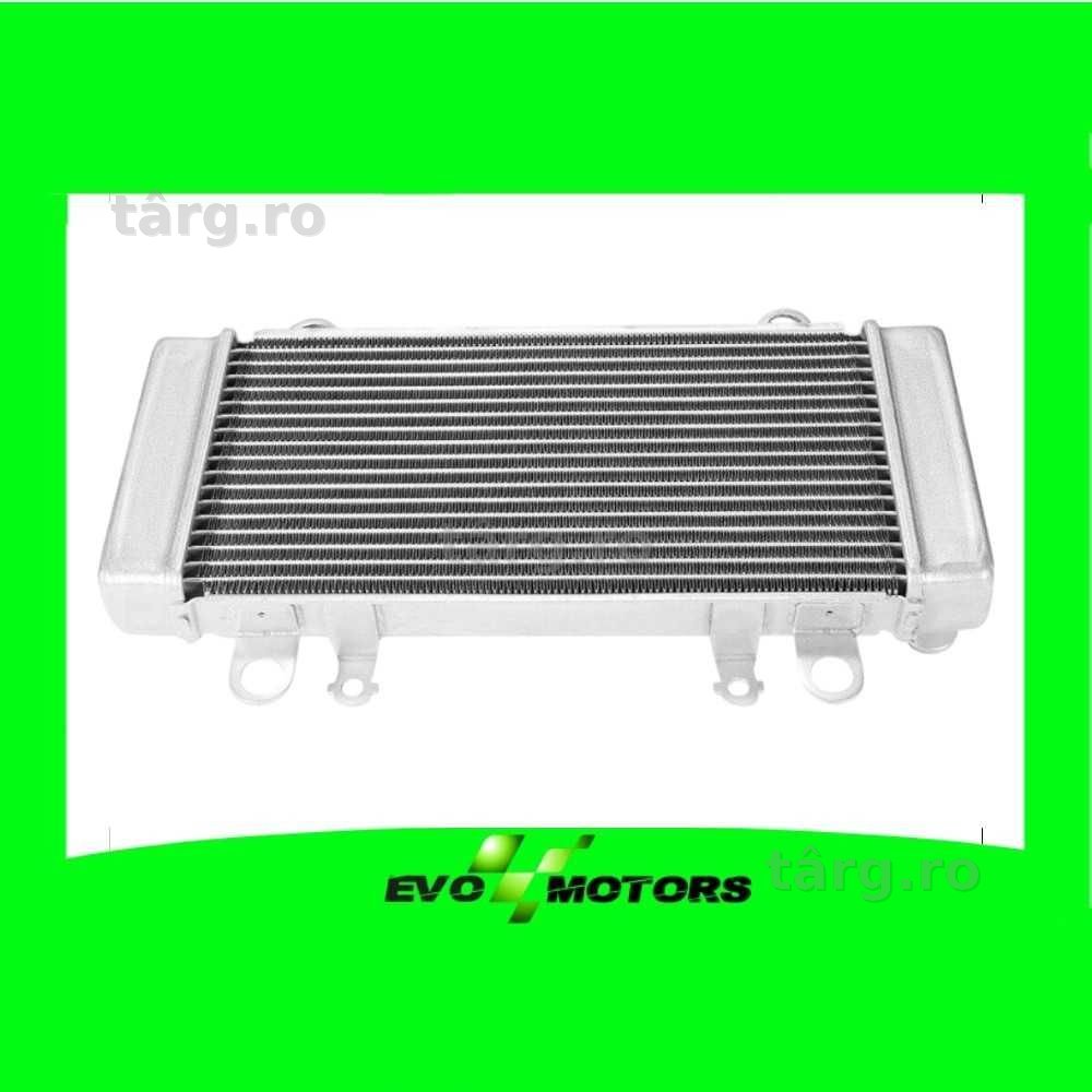 Radiator Kawasaki NINJA 300 2013-2017 ABS A1354