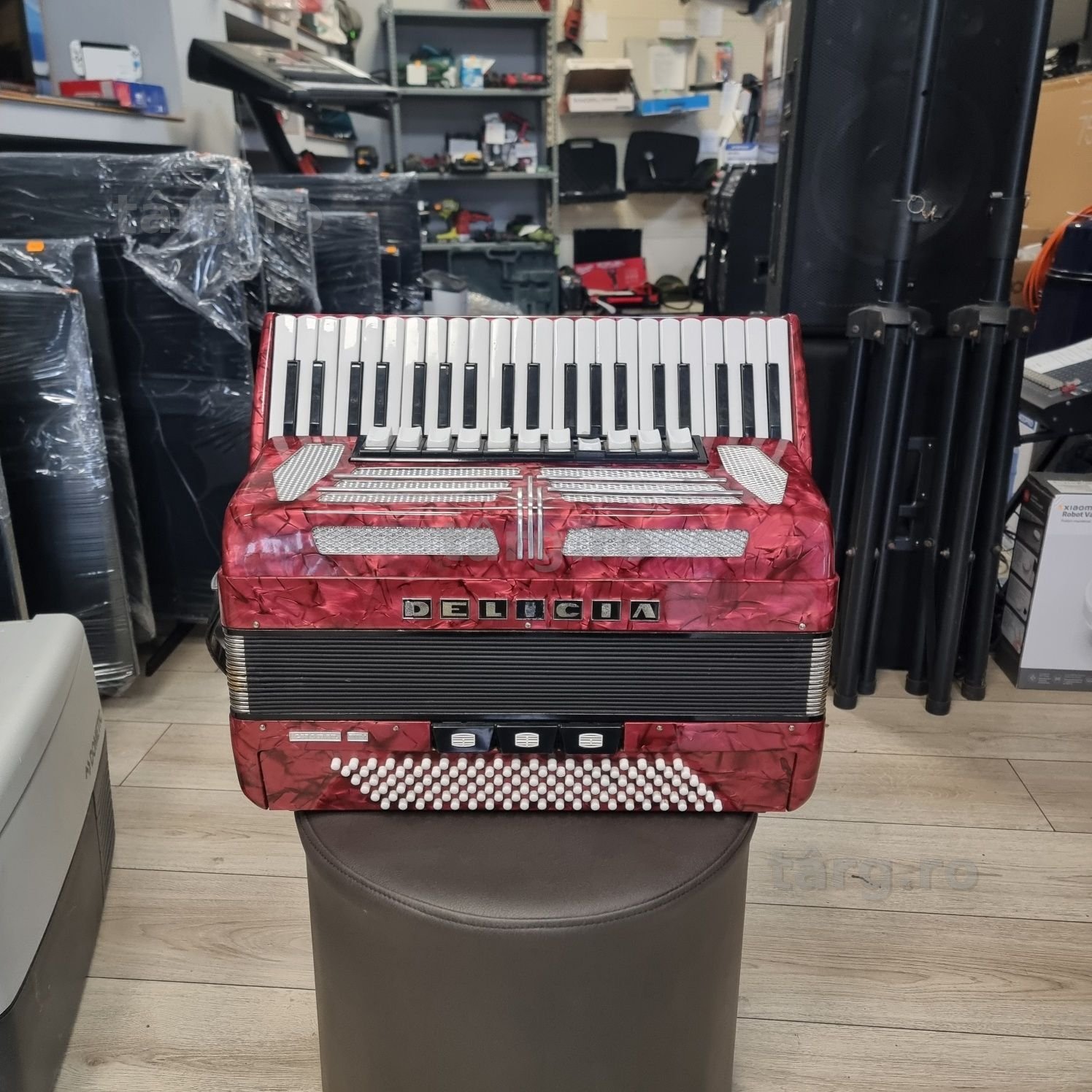 Amanet F28: Acordeon Delicia XIV 120 BASI (N)