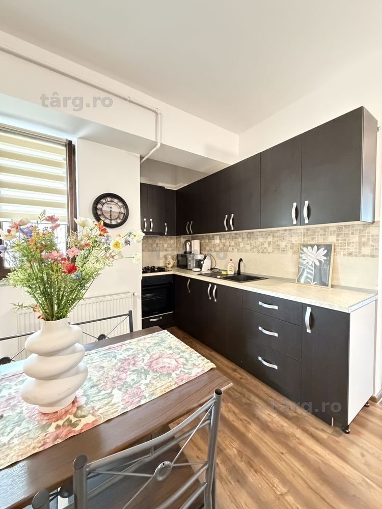 IS Cazare Apartamente Noi Regim Hotelier Iasi Palas - Centru - Newton 4